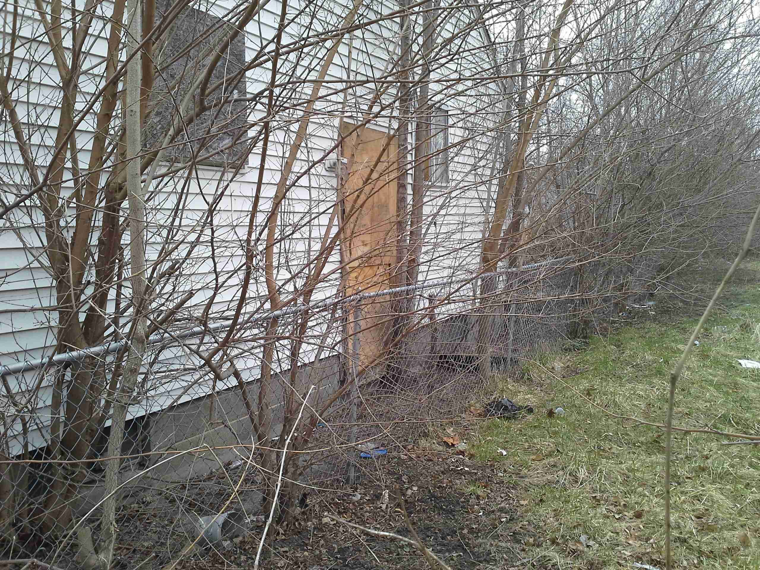 370571028 - Copy.jpg